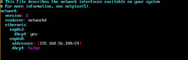 Netplan screenshot for static IP