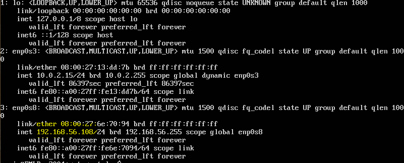 Ubuntu 20.04 ip a after static IP